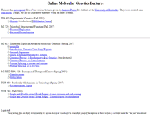 Tablet Screenshot of lectures.paralog.com